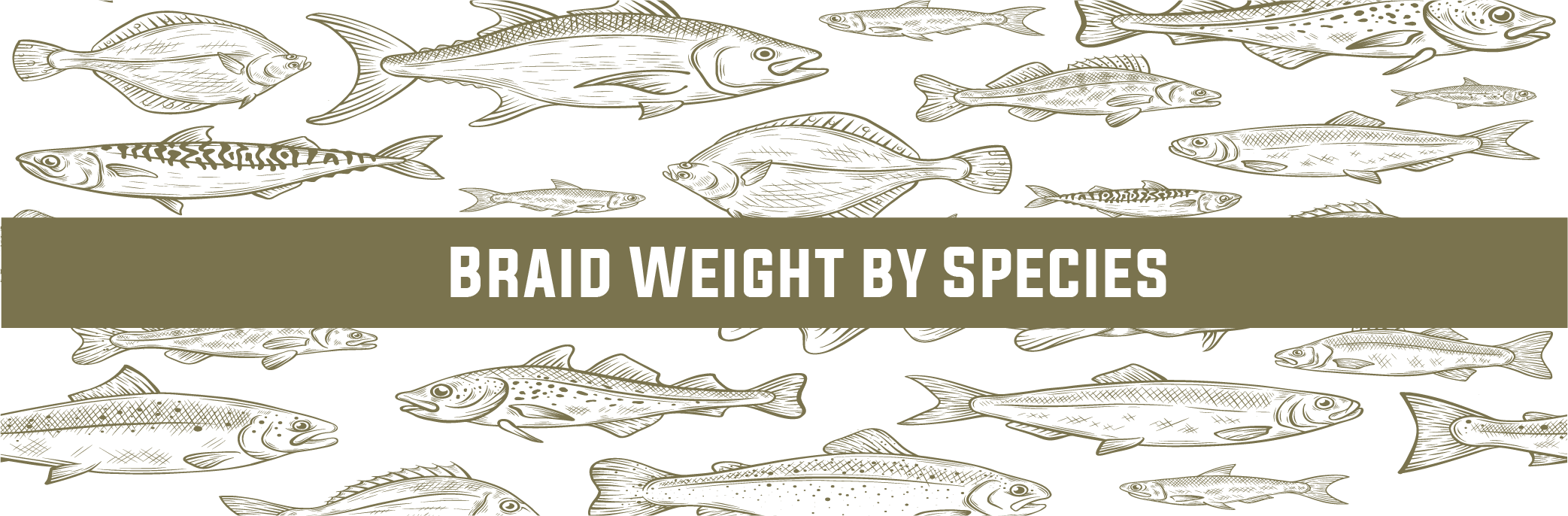 Braided Fishing Line Weight Guide by Species – FINS Braids