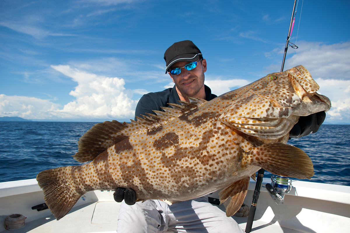 Deep Drop Fishing Grouper