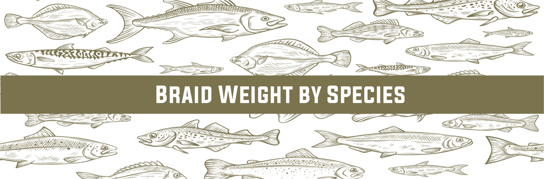 Braided Fishing Line Weight Guide by Species – FINS Braids