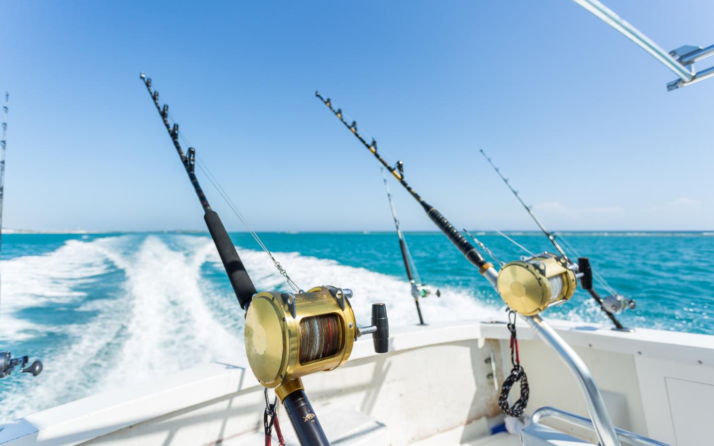 Offshore Trolling