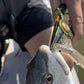 Line Cutterz Elite Pliers